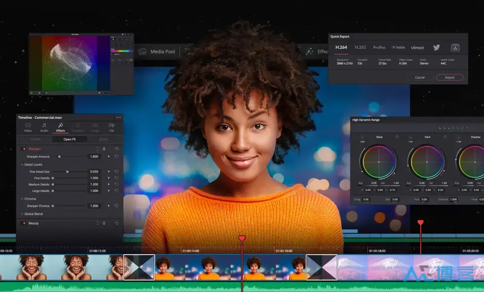Blackmagic Design DaVinci Resolve Studio(达芬奇调色软件) v18.6.2.0002 学习版